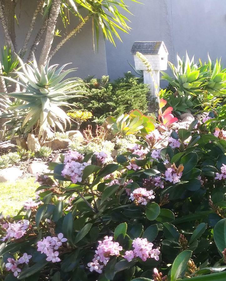 19 On Robyn Apartment Durbanville Exterior photo